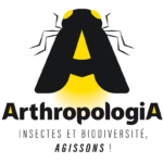 Logo de l'association Arthropologia